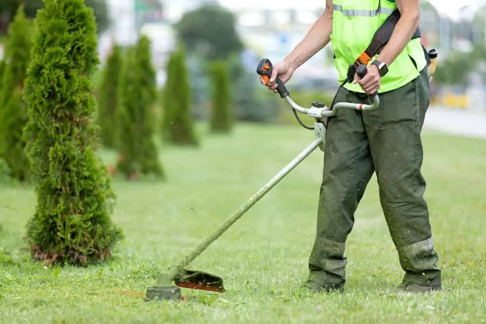 Gardener in safety gear cutting grass with a string trimmer