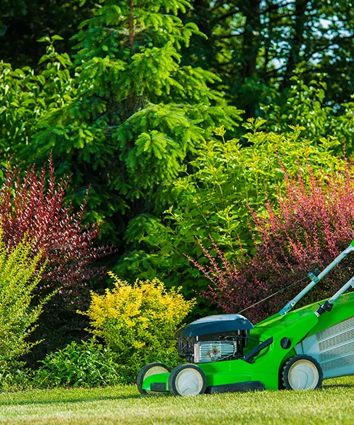 Green push mower on a lawn in front of a colorful garden border
