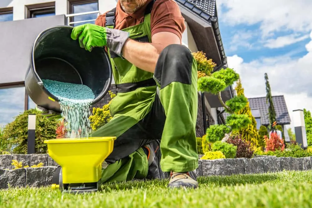 Lawn worker pouring granular fertilizer into a yellow spreader