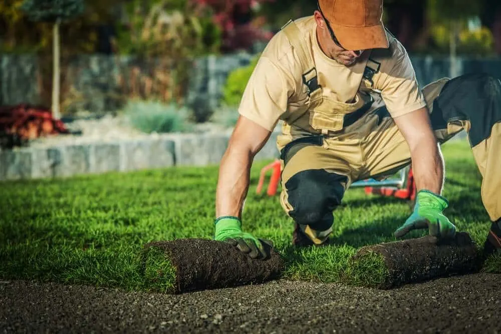 Landscaper unrolling sod across bare soil