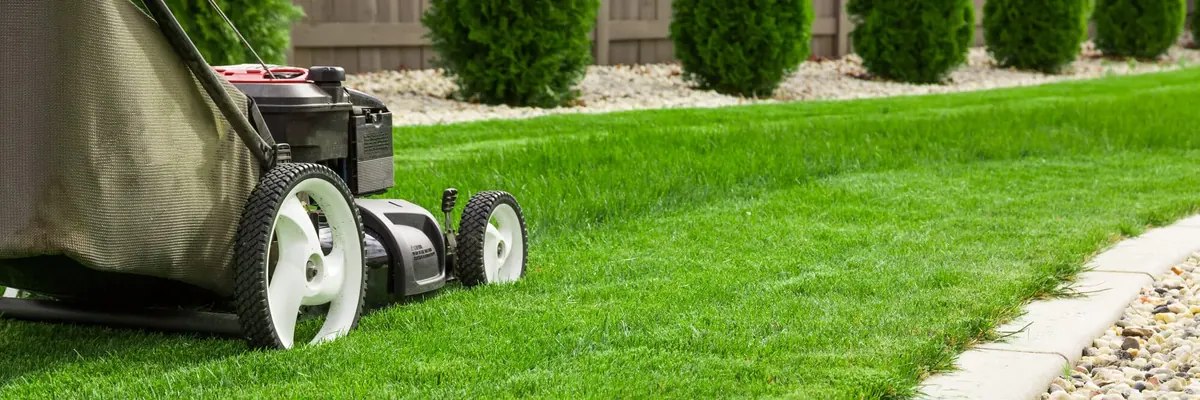 Lawn mower parked on a striped lawn in front of a row of hedges