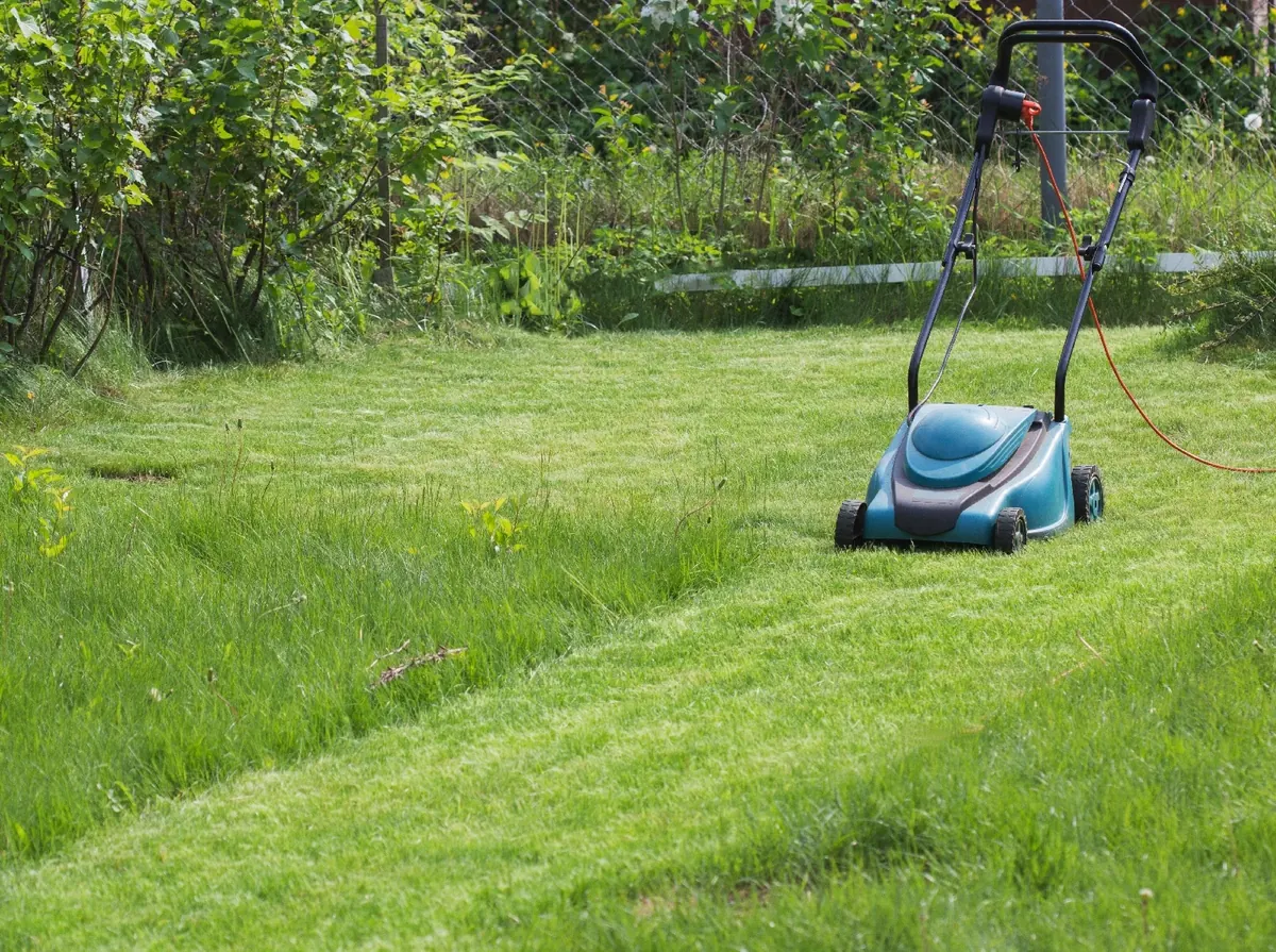 Blue electric mower parked on a freshly cut lawn beside a garden