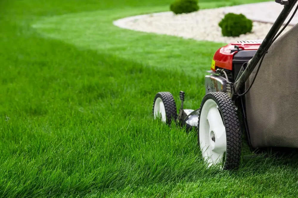 Push mower cutting a lawn with a curved stone border and gravel bed