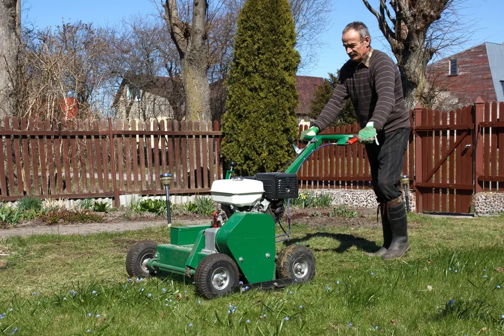 The Importance of Aeration and Overseeding in Lawn Care
