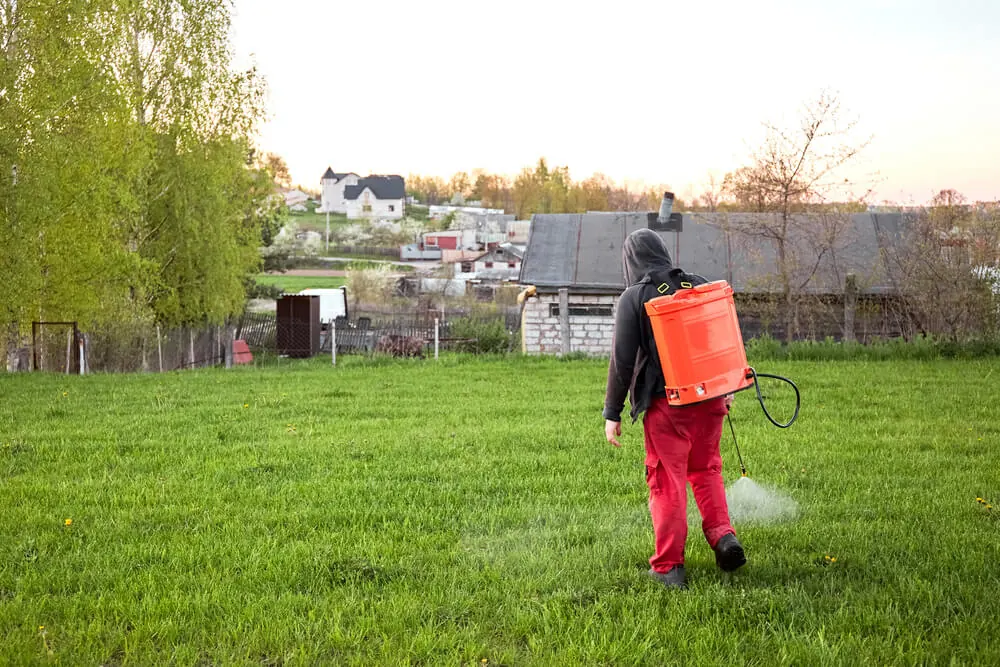 Person in red work pants and a dark hooded jacket spraying a lawn from an orange backpack sprayer