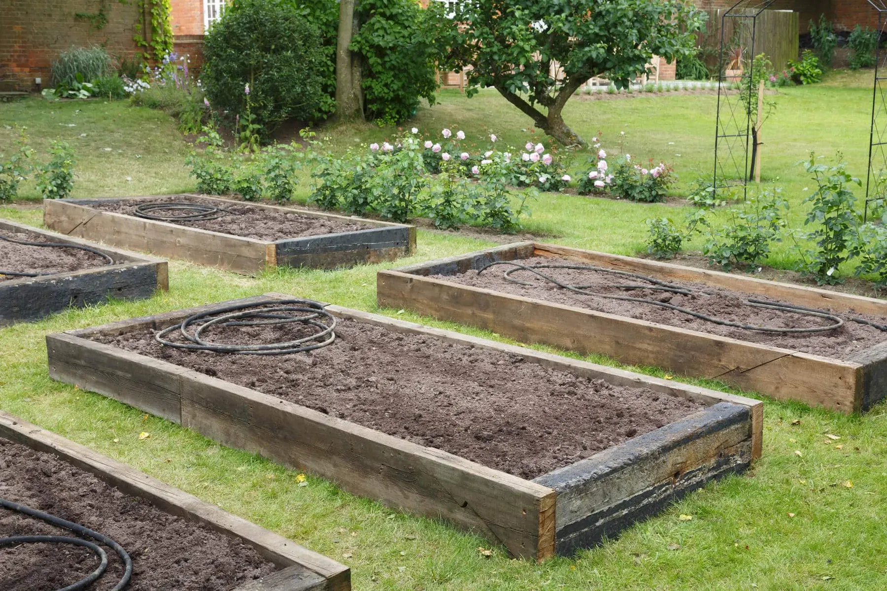 Raised wooden garden beds with drip irrigation lines laid across the soil
