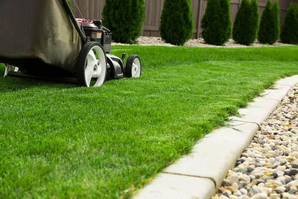 Push mower with a grass bag cutting a straight line beside a concrete curb and a bed of river pebbles