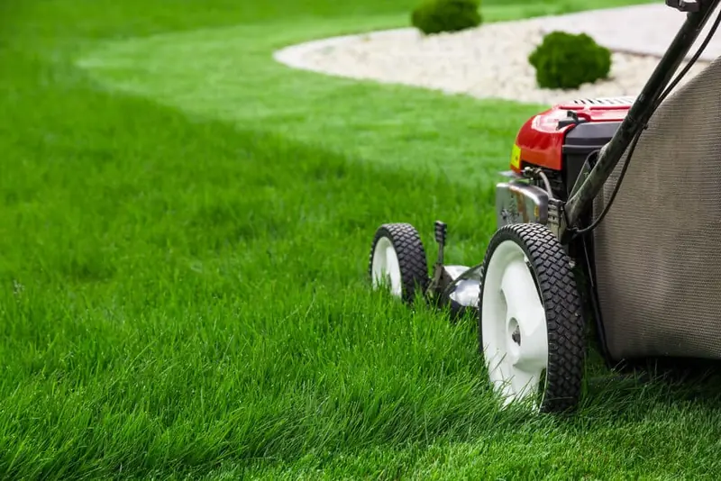 10 Lawn Care Tips for Your Yard This Spring