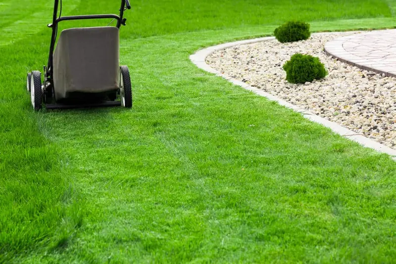 Fall Lawn Care: 6 Essential Maintenance Tips