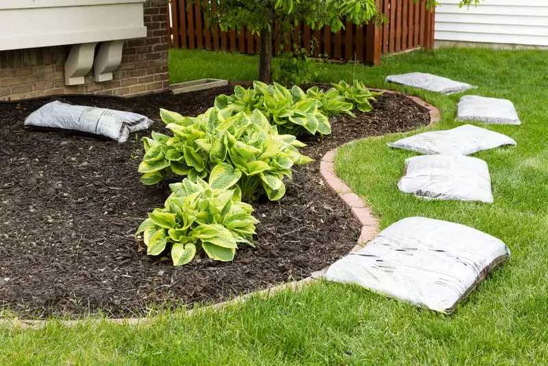 Revamp Your Yard: 6 Landscaping Ideas for Winter