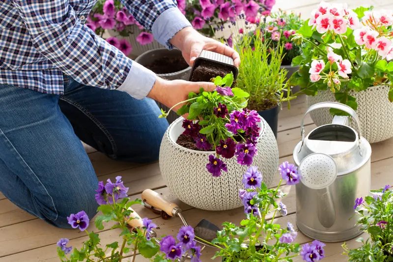 Choosing the Right Plants for Your Container Garden