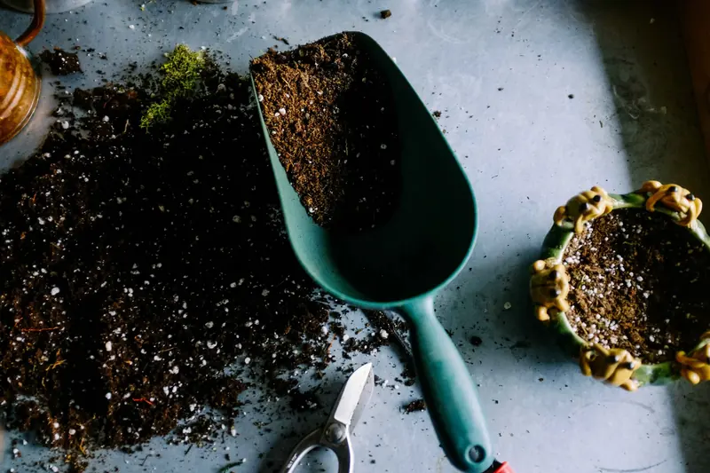 Understanding Fertilizers: Choosing the Right Nutrients for Your Garden