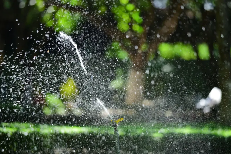Practical Tips for Efficient Irrigation: Watering Your Garden and Lawn in New Orleans, LA