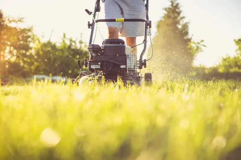 When to Cut Your Grass in New Orleans, LA