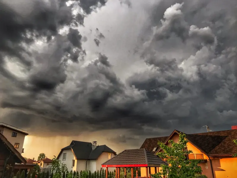 How to Prepare Your Yard for Hurricane Season in New Orleans, LA