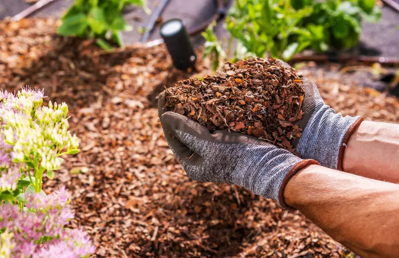 How Much Will 25 Bags of Mulch Cover in New Orleans, LA?