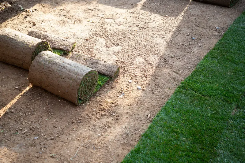 What Not to Do With Fresh Sod in New Orleans, LA?
